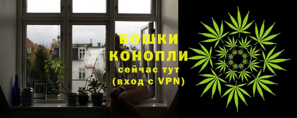 гашик Каменка