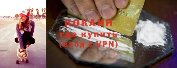 гашик Каменка
