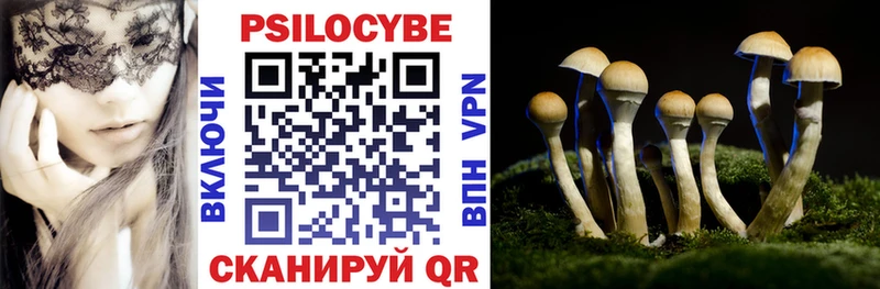Купить где  Терек  Псилоцибиновые грибы мухоморы 